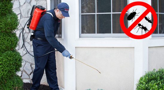 Karamürsel Böcek ve Haşere İlaçlama böcek ilaçlama ve haşere kontrolü — ilaclama-tr.com
